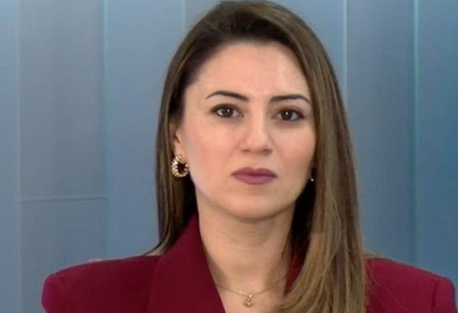 davos forumu azərbaycanın imkanlarını dünyaya təqdim etmək baxımından mühüm platformadır