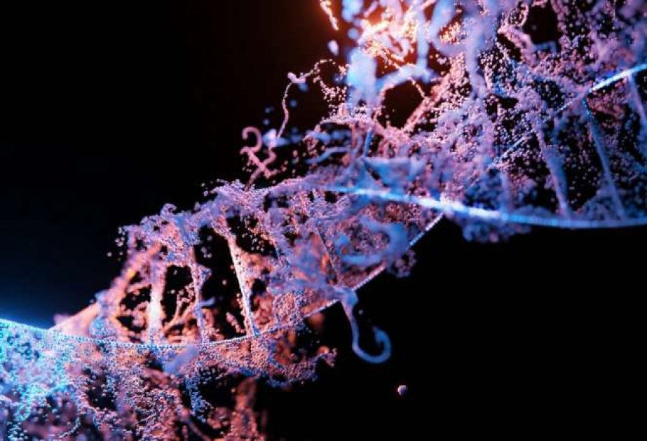 genetik xəstəliklərin inkişaf ehtimalını azalda biləcək embrionlar üzrə araşdırma aparılıb