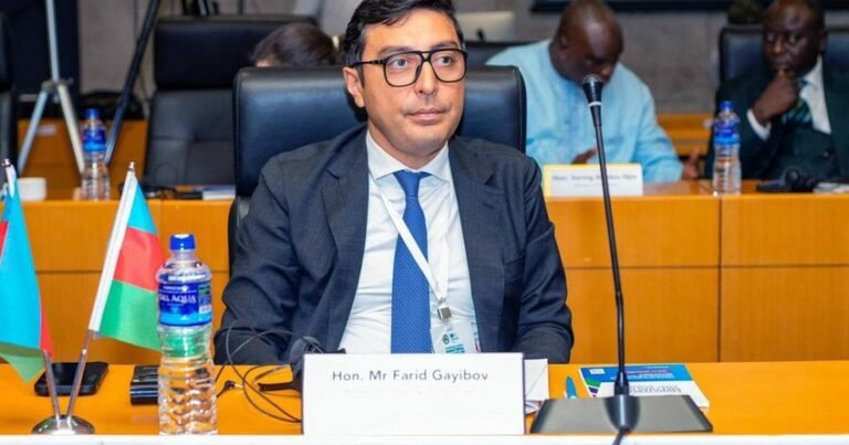 fərid qayıbov regionlararası afrika nazirlər toplantısında