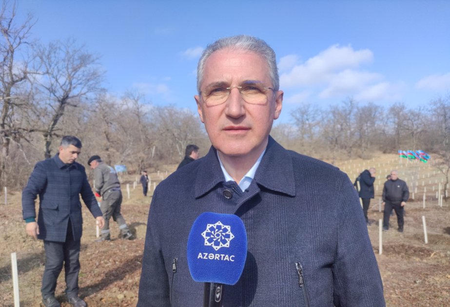muxtar babayev: ötən il ölkə ərazisində 8 milyondan çox ağac əkilib