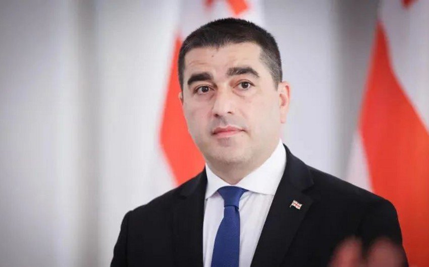 papuaşvili: radikal liderlərin baltikyanı ölkələrə səfərləri gürcüstana qarşı siyasətin bir hissəsidir