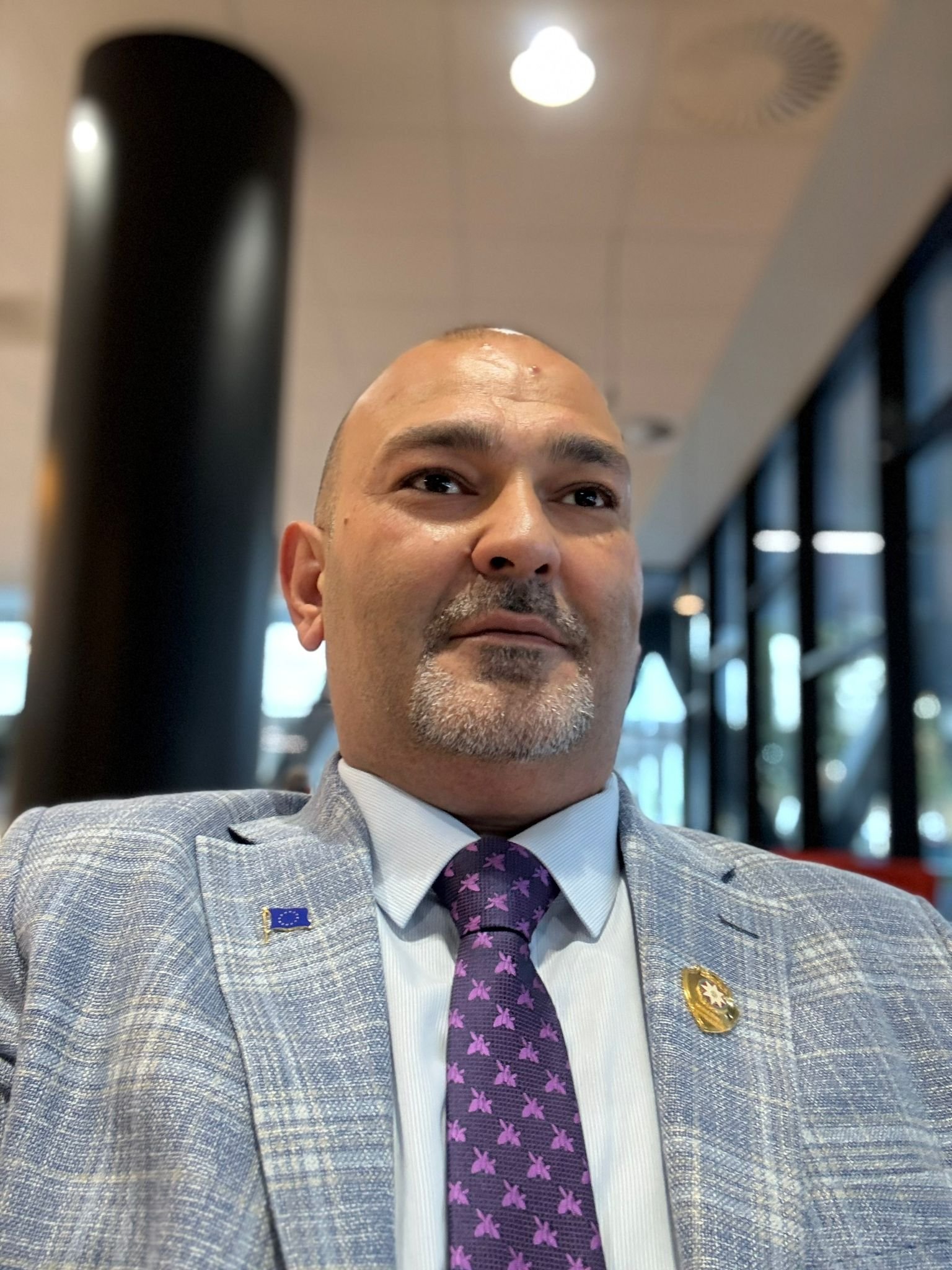 rəsmi arayiş